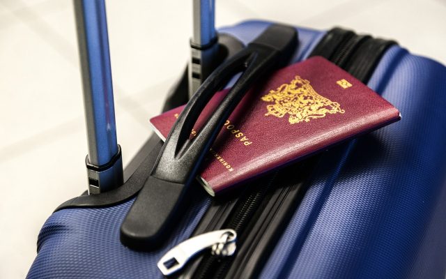 Passport Luggage Trolley Travel